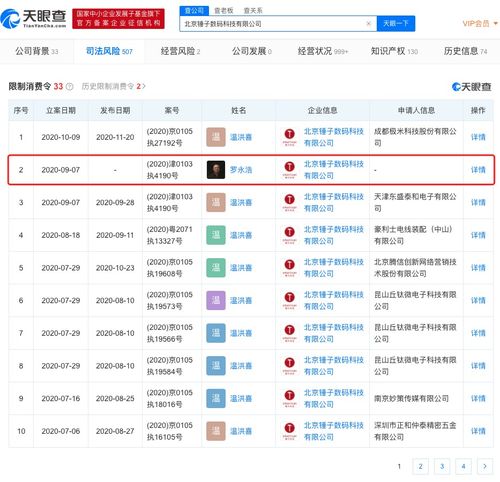 技術(shù)轉(zhuǎn)讓遇阻，羅永浩再陷消費限制風(fēng)波